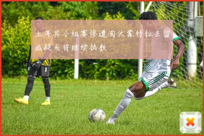 土耳其小组赛惨遭淘汰蒙特拉去留成疑或将继续执教